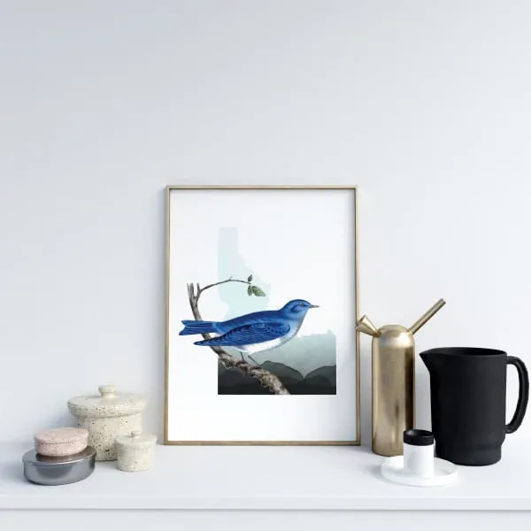Idaho Mountain Bluebird | state bird series