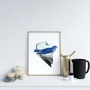 Nevada Mountain Bluebird | state bird series