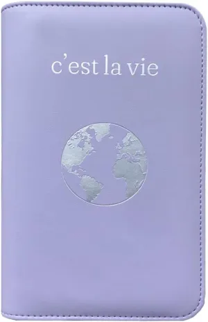 Phone Charging Passport Holder - Travel Wallet with Removable Power Bank holds money, cards, phone, travel docs- RFID Blocking - Compatible with All Phones - Travel Accessories